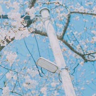 365体育中国官方网站